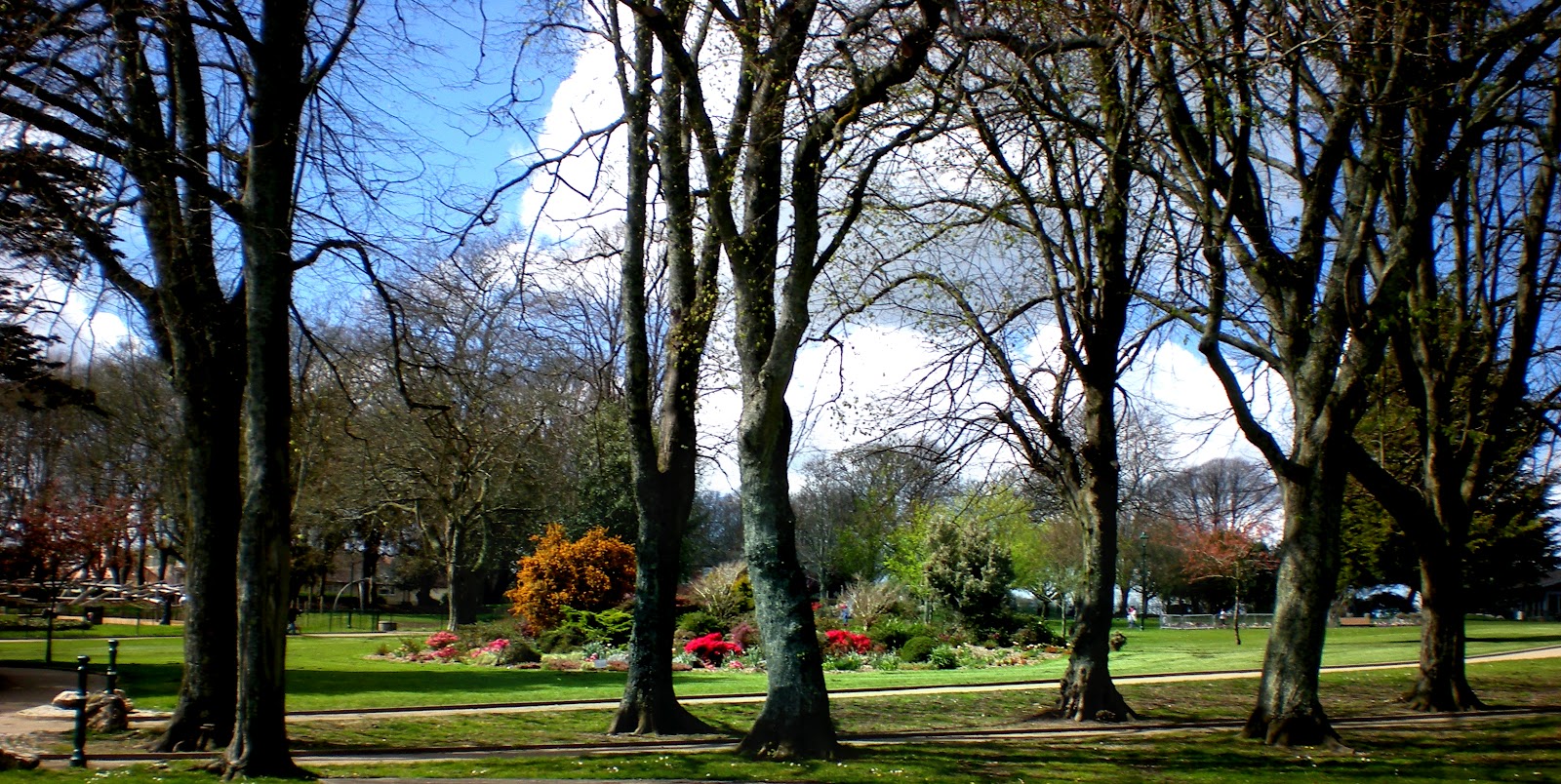 Plymouth Daily Photo: April in Devonport Park (1)
