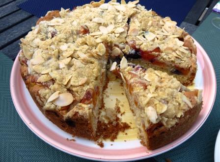 apricot and blueberry crumble cake