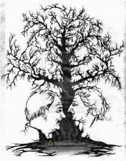 Optical Illusions, Funny Photos and Images, Brain Teasers, Puzzles