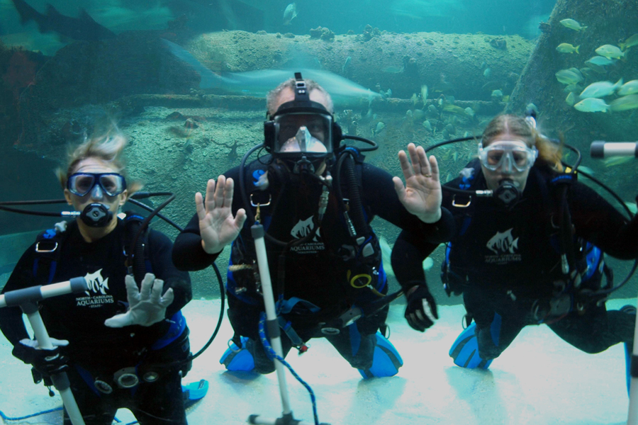 Tourism North Carolina Aquarium