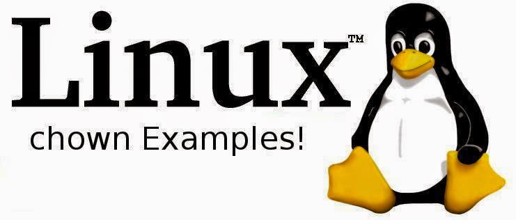 Linux chown example