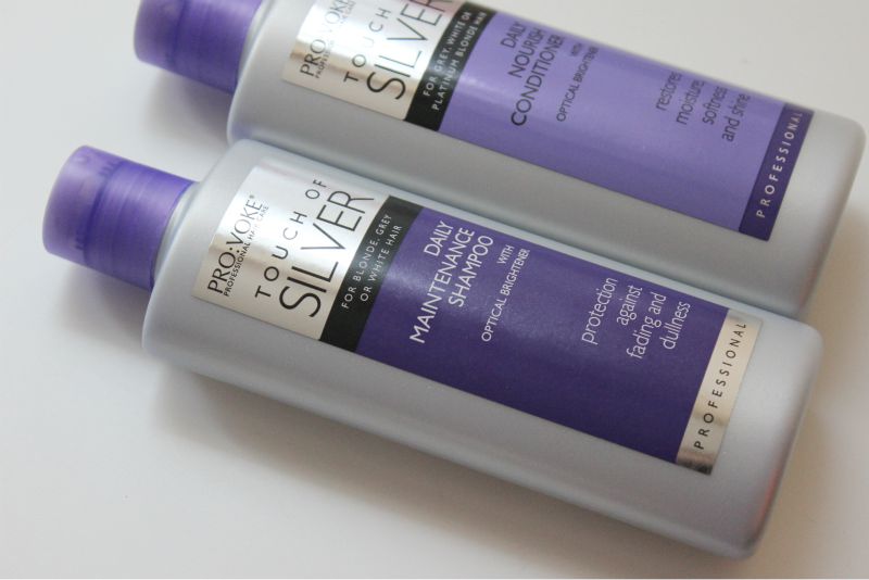 Touch Of Silver The Sunday Girl