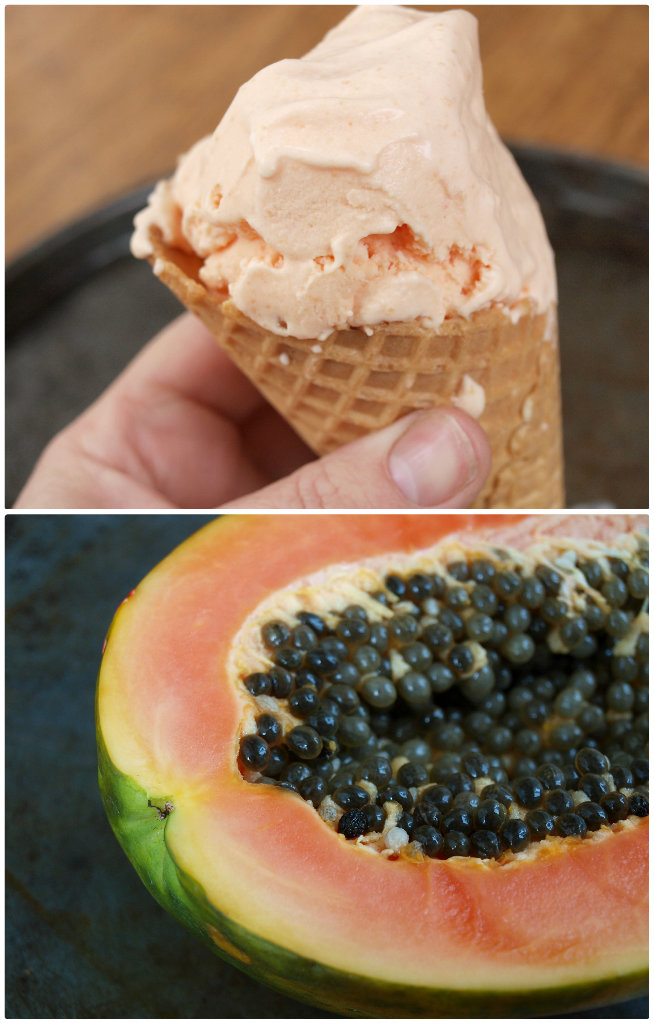 Red Papaya Ice Cream Recipe