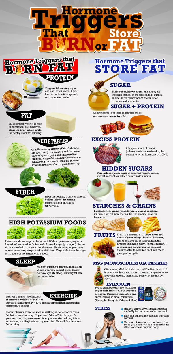 A Healthy Fat Burning Diet