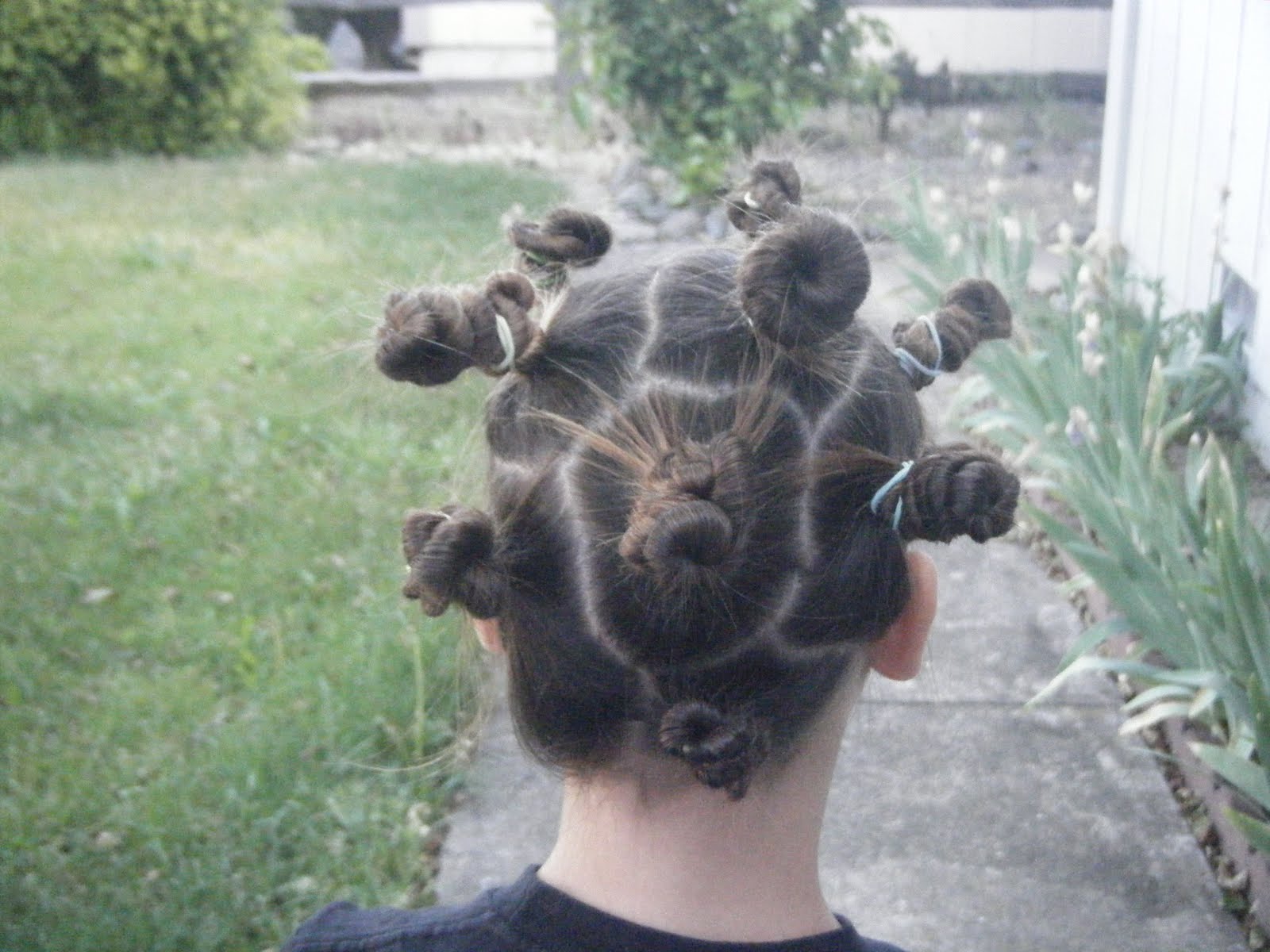 This That And Other Crap Crazy Hair Day
