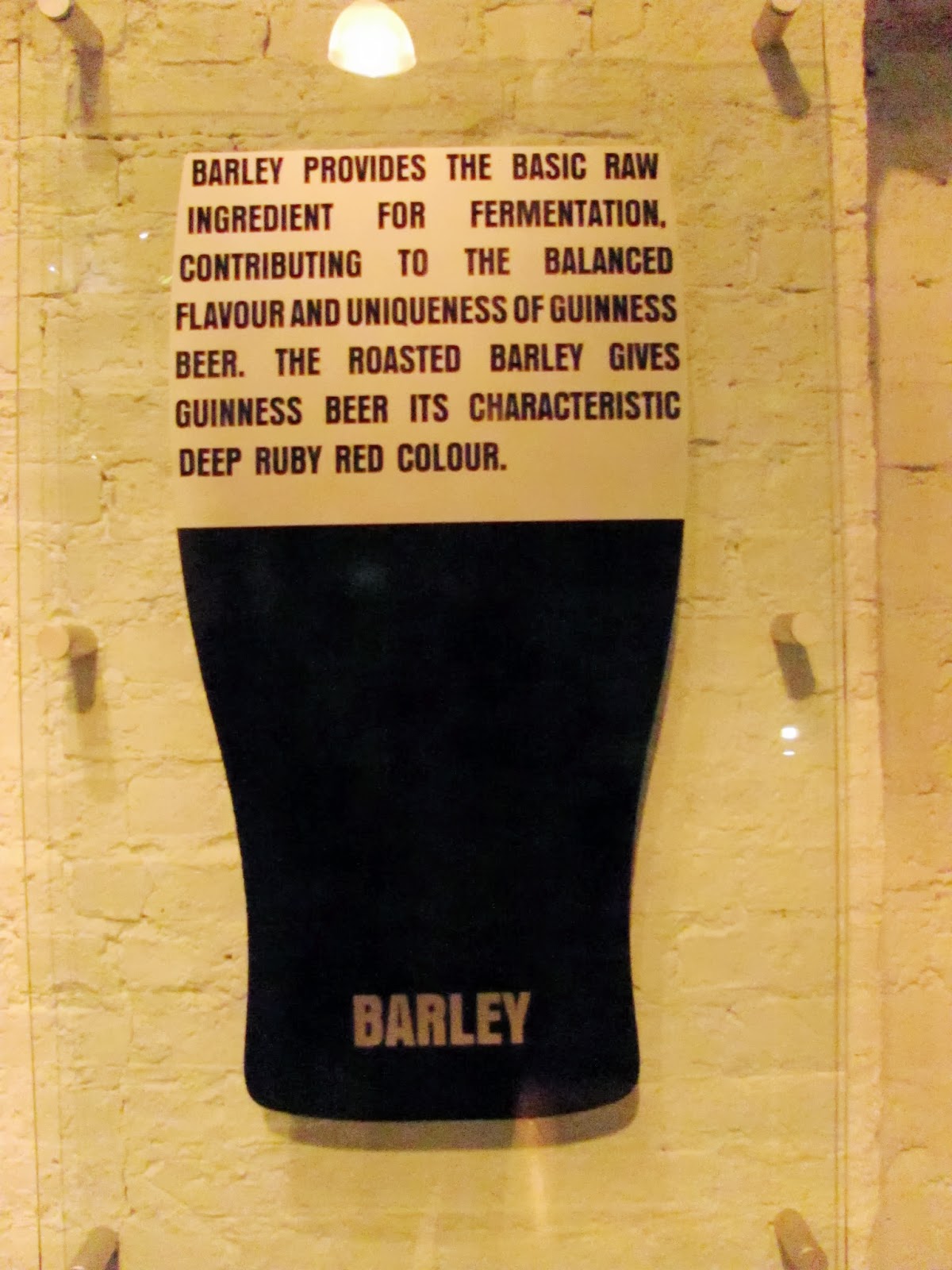 Still Barley A description of the role of barley in making beer at Guinness Storehouse, Dublin, Ireland