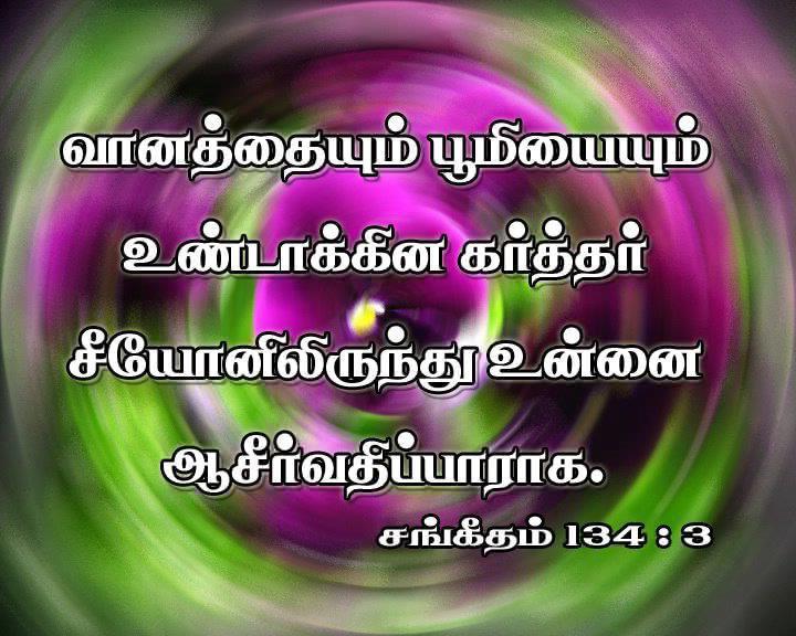 holy bible in tamil download holy bible in tamil download