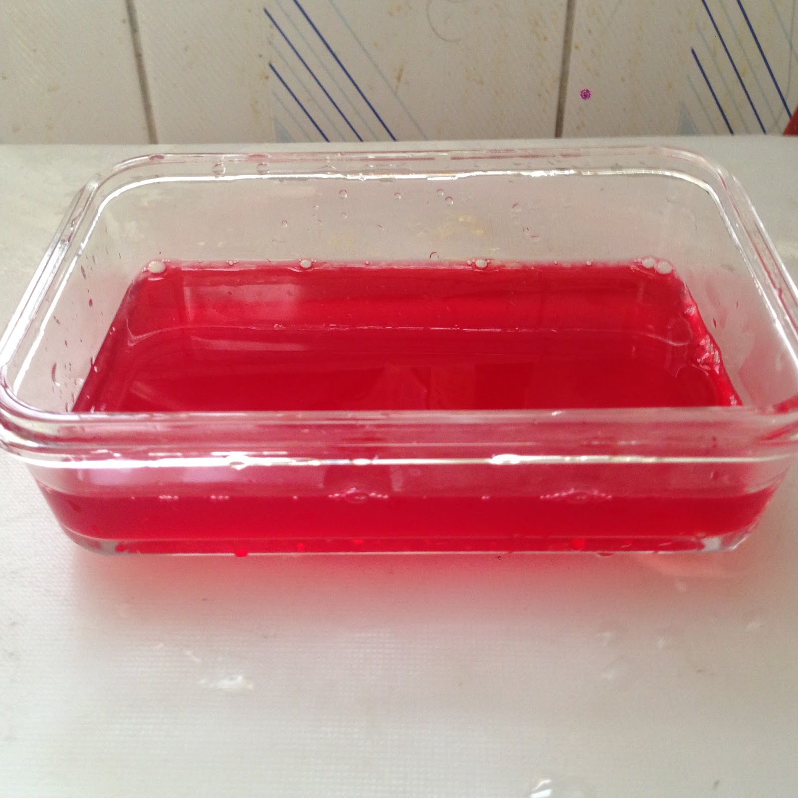 Nila's Cuisine Coconut Jello Fudge/ Coconut Jello Shots