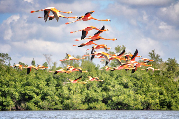 [Image: khongdaugiongnhucuba_05.jpg]