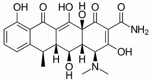 Fig. 2. Doxycycline (血管脳関門PGP 阻害剤)