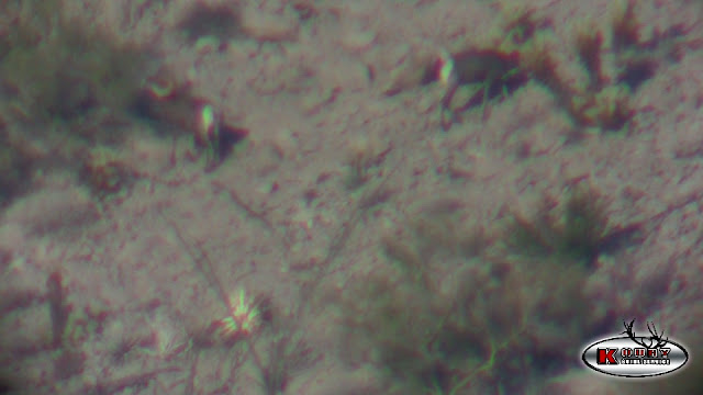 46b-3.jpg