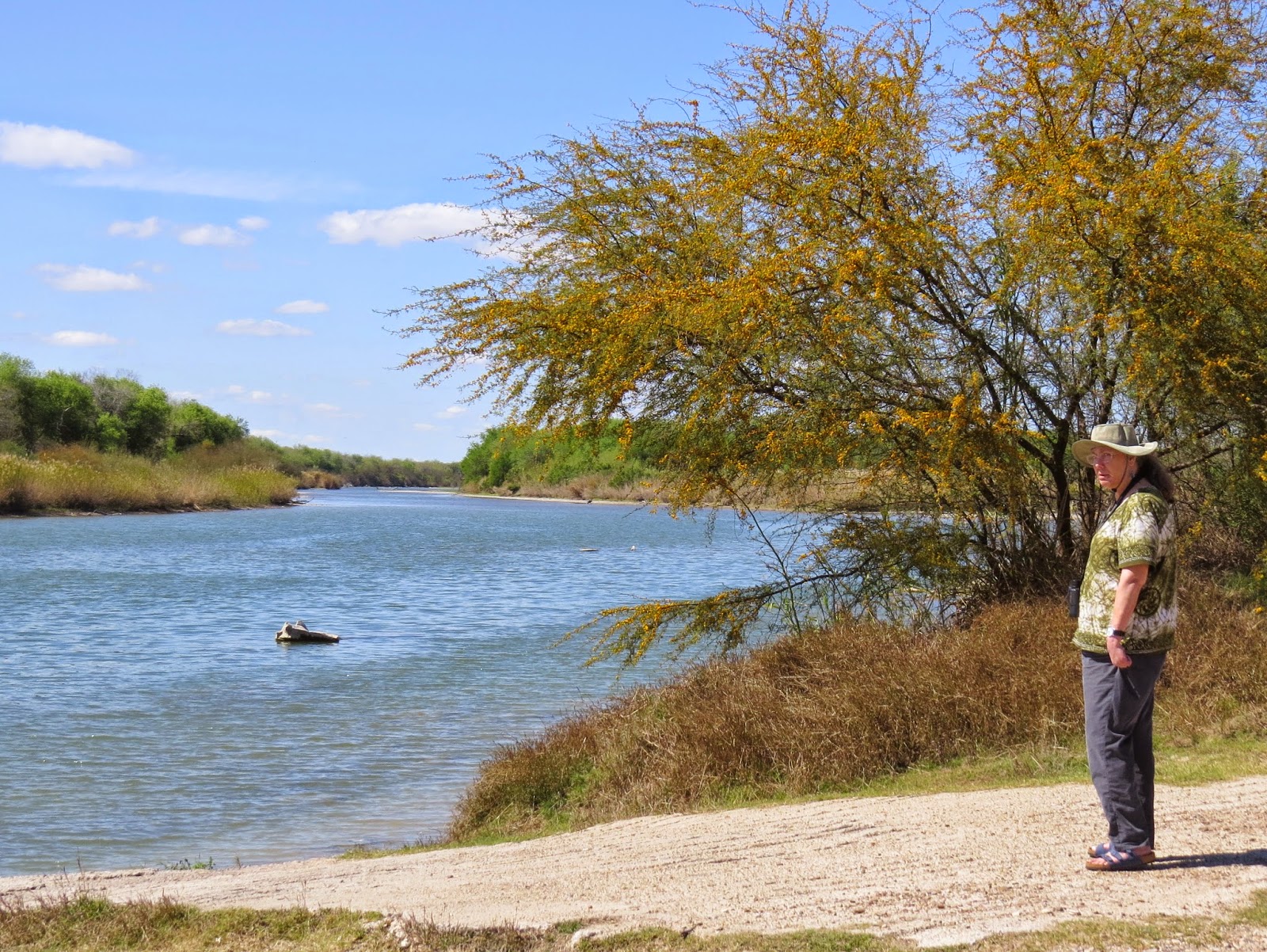SE Texas Birding & Wildlife Watching Rio Grande Valley Trip Salineno