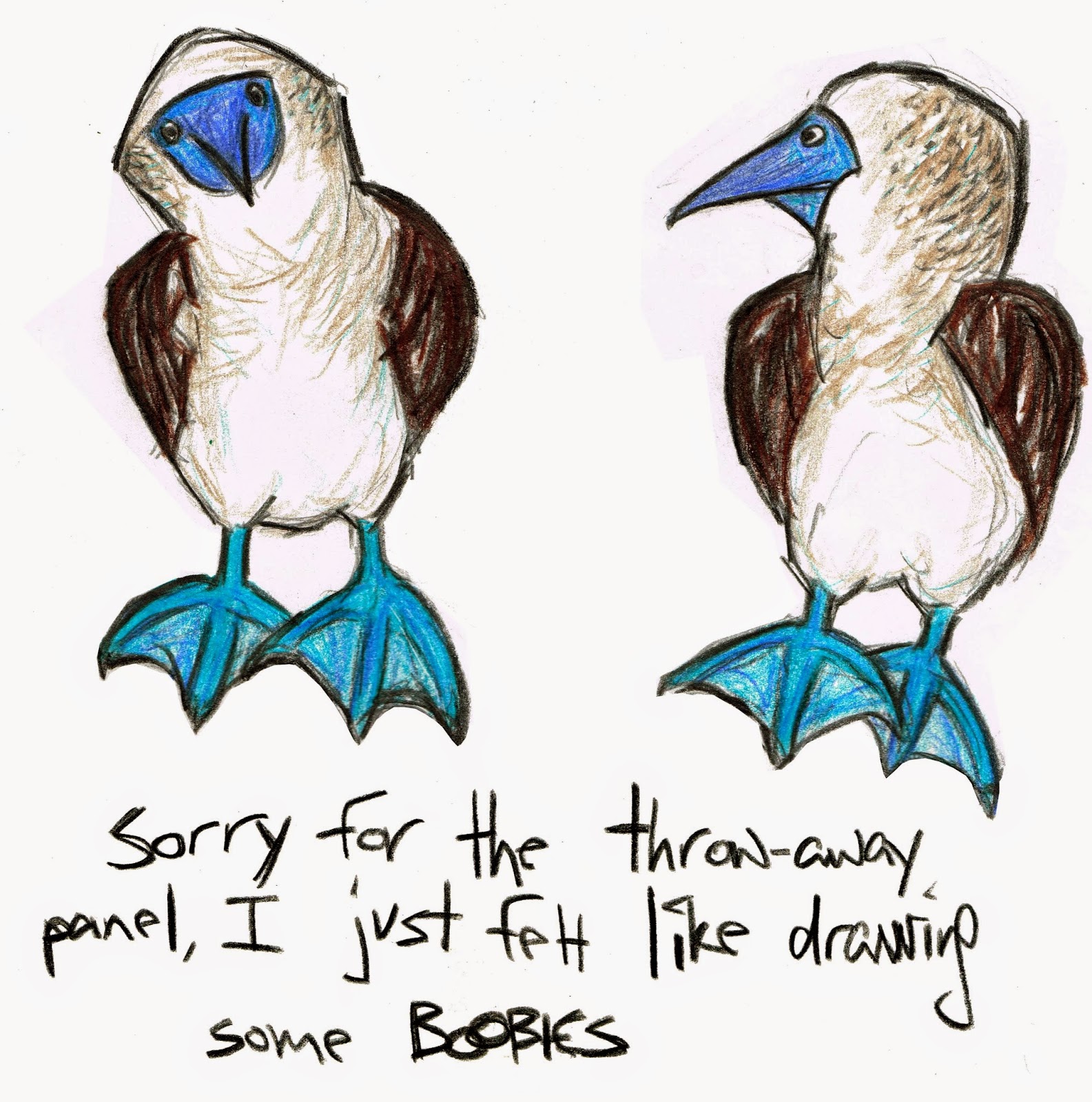 Sorry for the throw-away panel, I just felt like drawing some BOOBIES *drawing of blue-footed boobies*