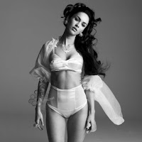 Fotos desnuda Megan Fox