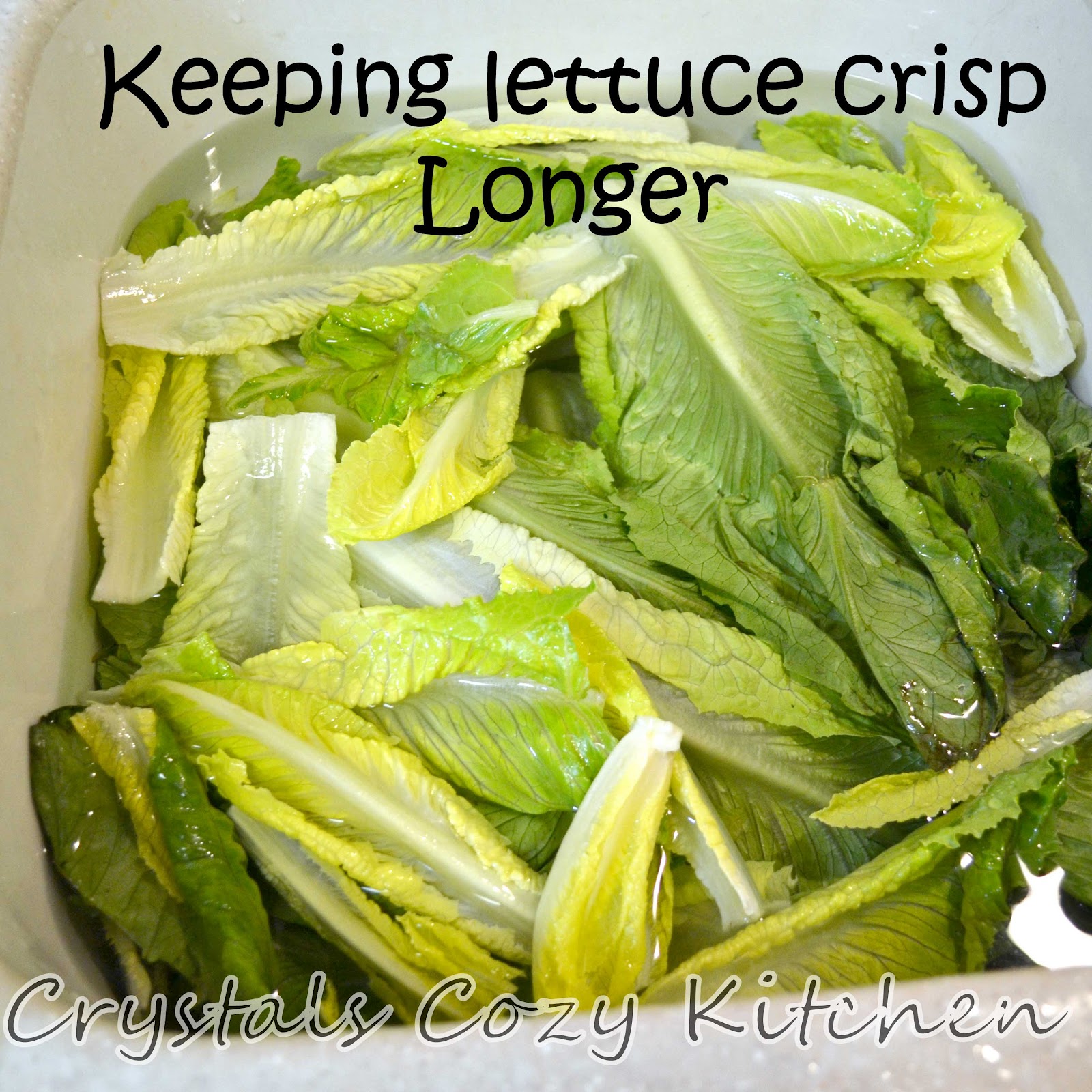 Crystal's Cozy Kitchen Kitchen Tip Keeping lettuce crisp longer