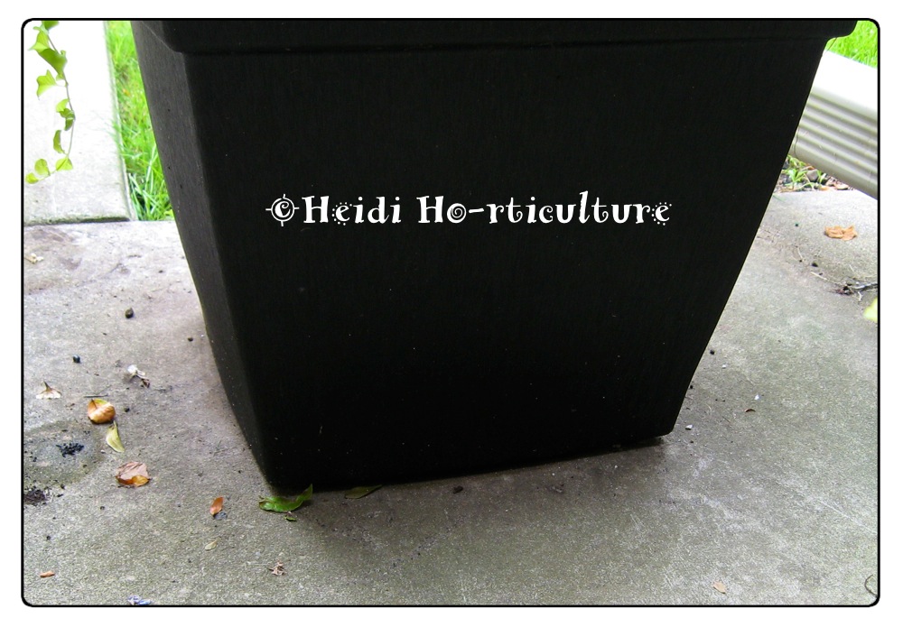 Heidi Horticulture Planter Risers