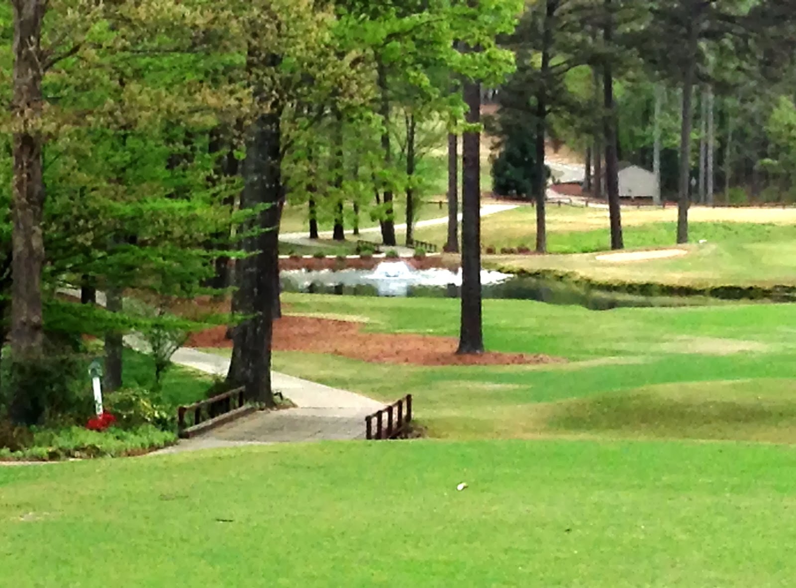 Jim Cleveland Homes MacGregor Downs Homes for Sale