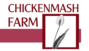 Chickenmash Farm News