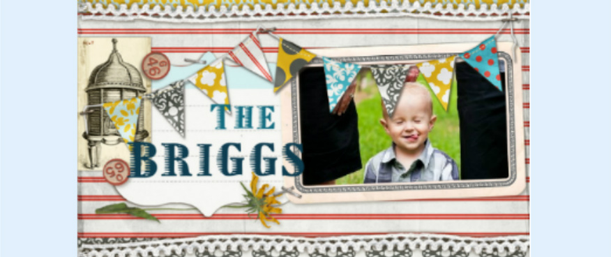 The Briggs