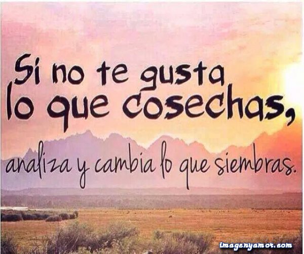 Resultado de imagen de frases con imagenes de reflexion para la vida