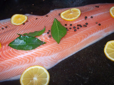 Salmon