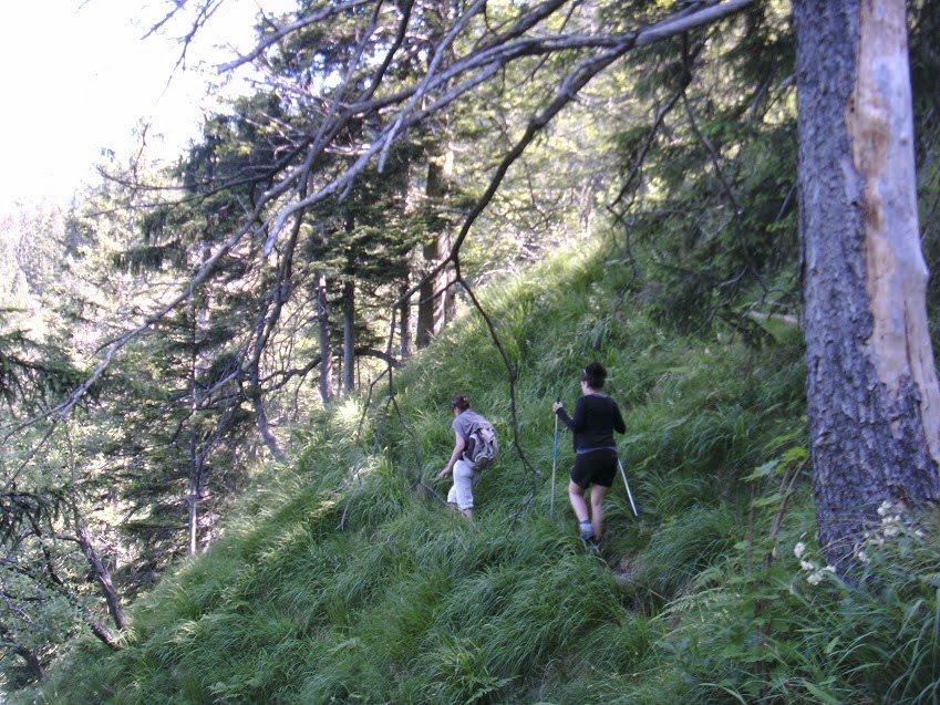 BERGHEIMAT Via Heckenbach auf den Jochberg