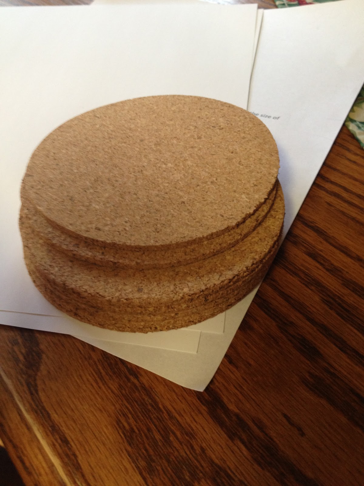 Beginning with Becca DIY Cork Picture Coasters