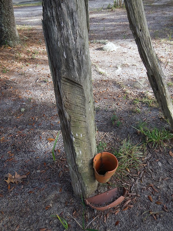 Sandcastle Momma Eglin Air Force Base's Jackson Guard