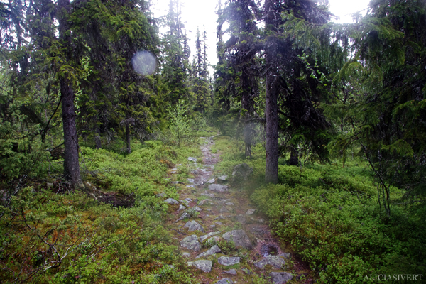 aliciasivert, alicia sivertsson, alicia sivert, fjällvandring, vandra i fjäll, fjällen, fjällvandra, vemdalen, vemdalsskalet, hike, hiking in sweden, härjedalen, norrland, sverige, varggranshågna, varggranssjön,
