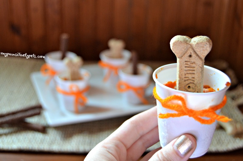 Frozen Pumpkin Dog Treats TreatThePups Pawsitively Pets