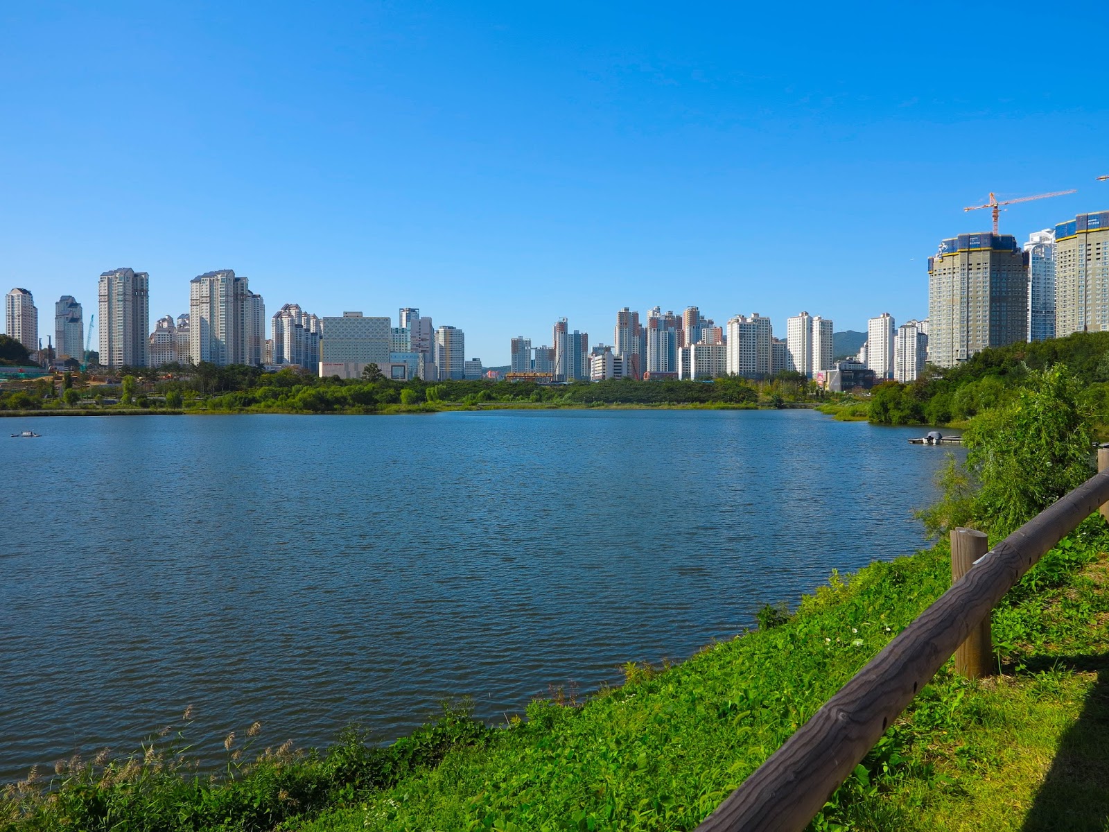 suwon gwanggyo lake park , big park in korea. DOL I 'S BLOG