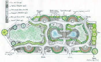 Diseño de Jardín Botánico Colegio Tomas Moro