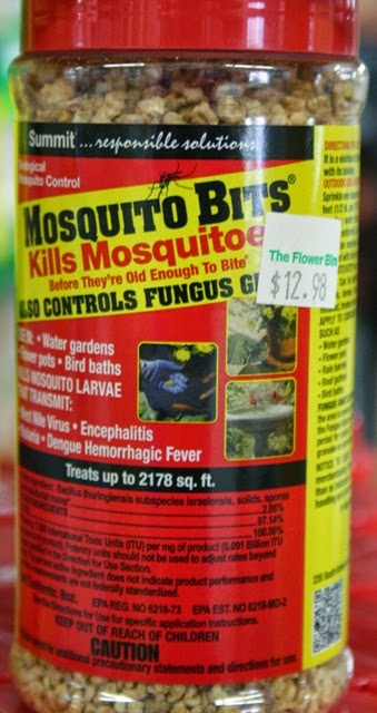 How To Get Rid Of Mosquitoes In Your Yard Naturally How To Get Rid Of Mosquitoes In Your Yard Naturally