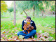 Mi foto