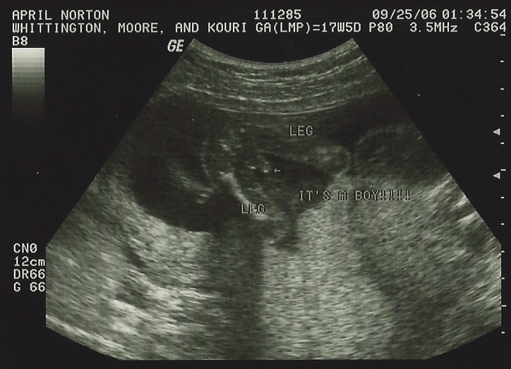 The Norton Family February 2012