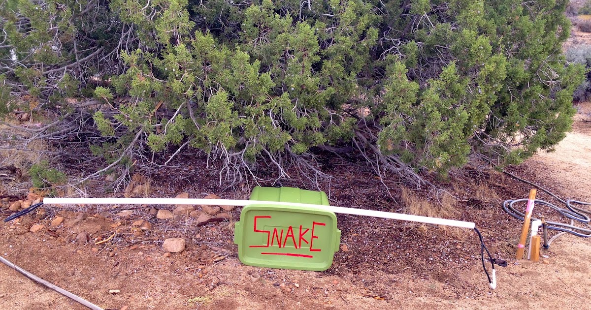 My Scenic Byway Rattlesnake Catcher