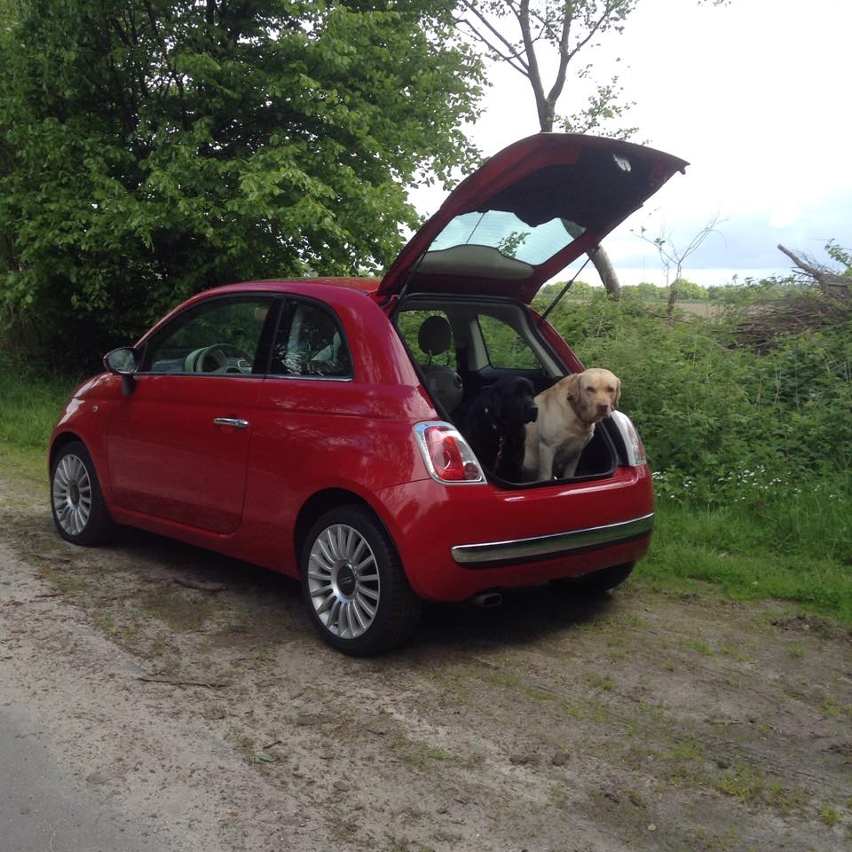 der Krempel, den ich rief Auto entrümpelt