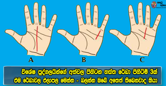 Share