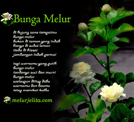 .:: Melur Jelita ::.