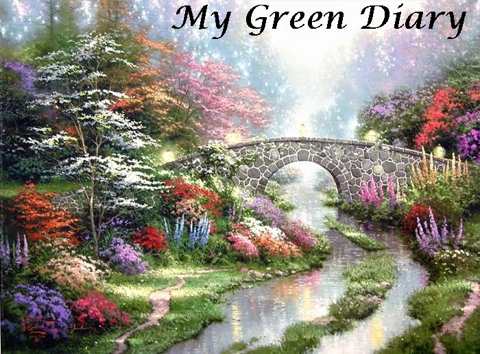 My Green Diary