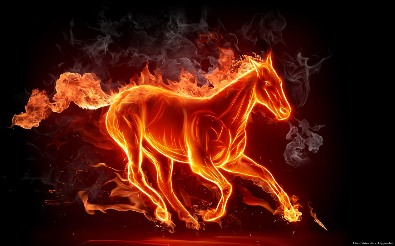 Sho Kuda Yang Palsu shio kuda dalam zodiak china Sho Kuda Yang Palsu shio kuda dalam zodiak china