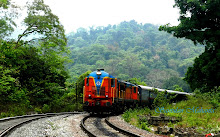 Amravati Express at Sonalium