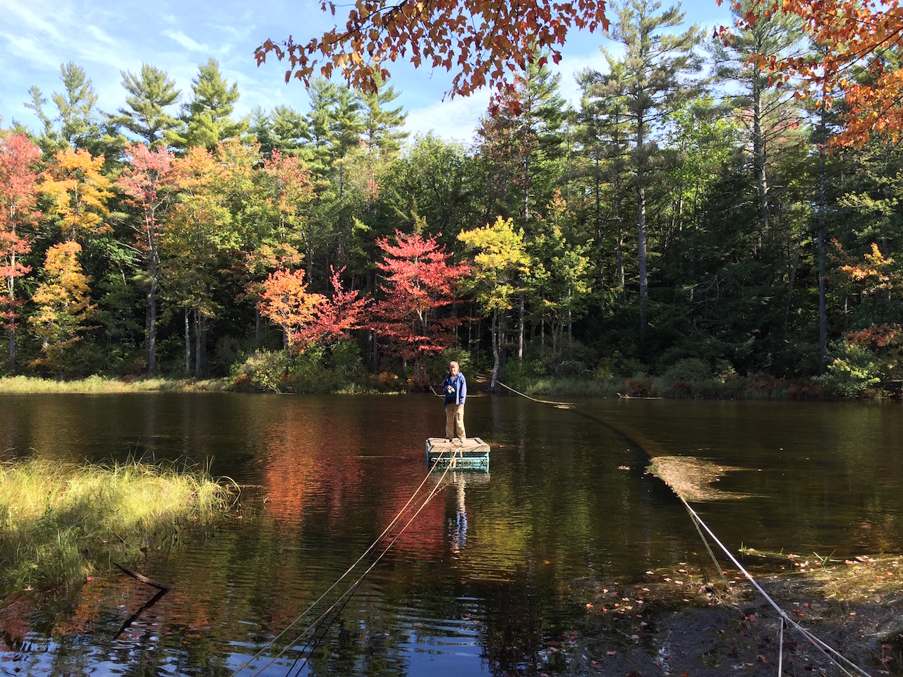 The Hiroshi Trail The New Trail in Town Little River Bed and