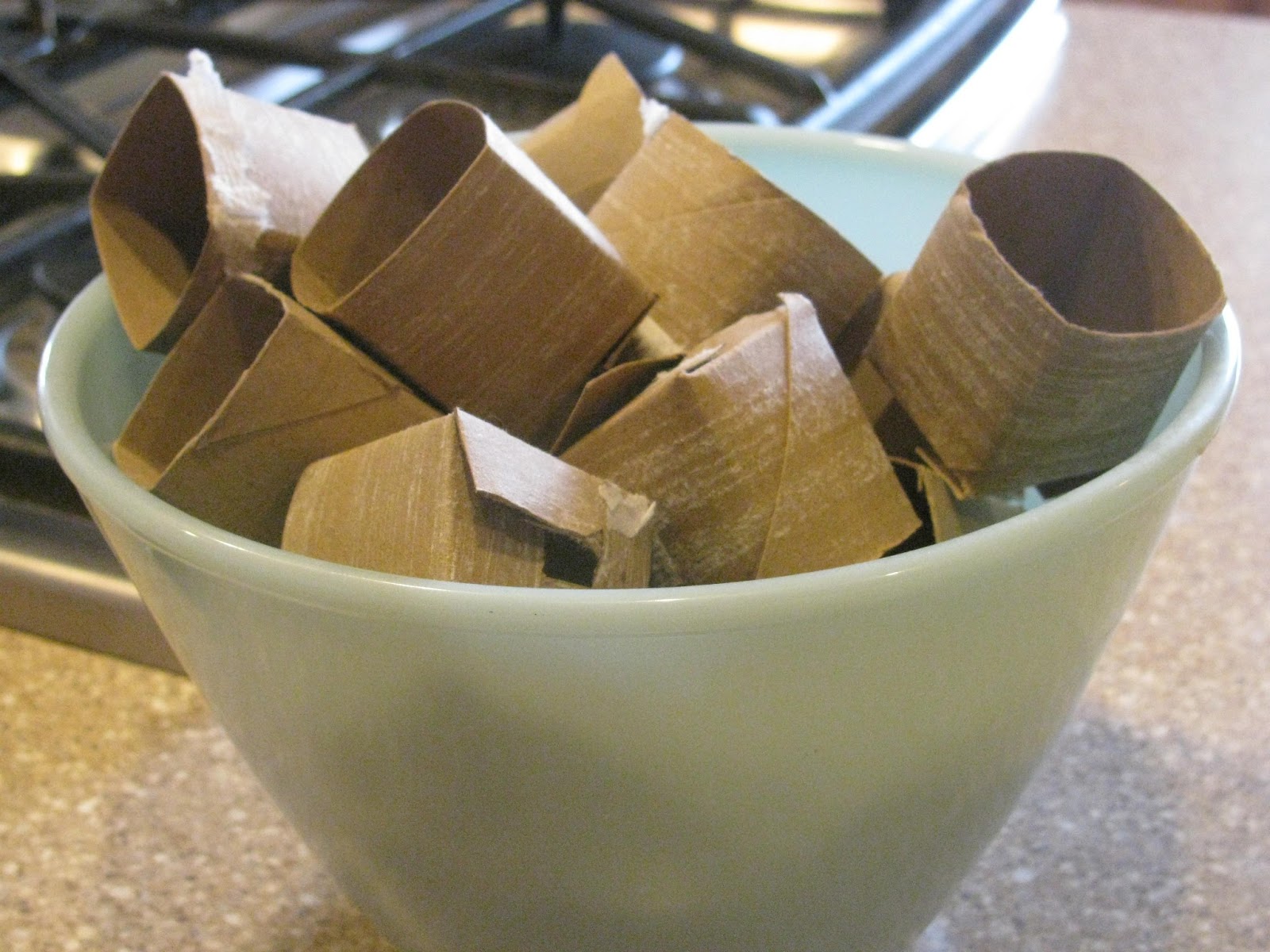 The Harried Homemaker Preps How to Make Seed Starting Pots from Toilet Paper Rolls