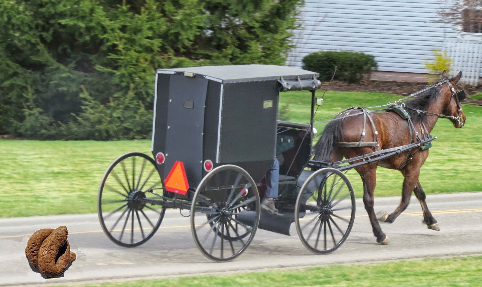 True News USA Scheduled Amish Horse & Buggy Races on Hold Due to Horse