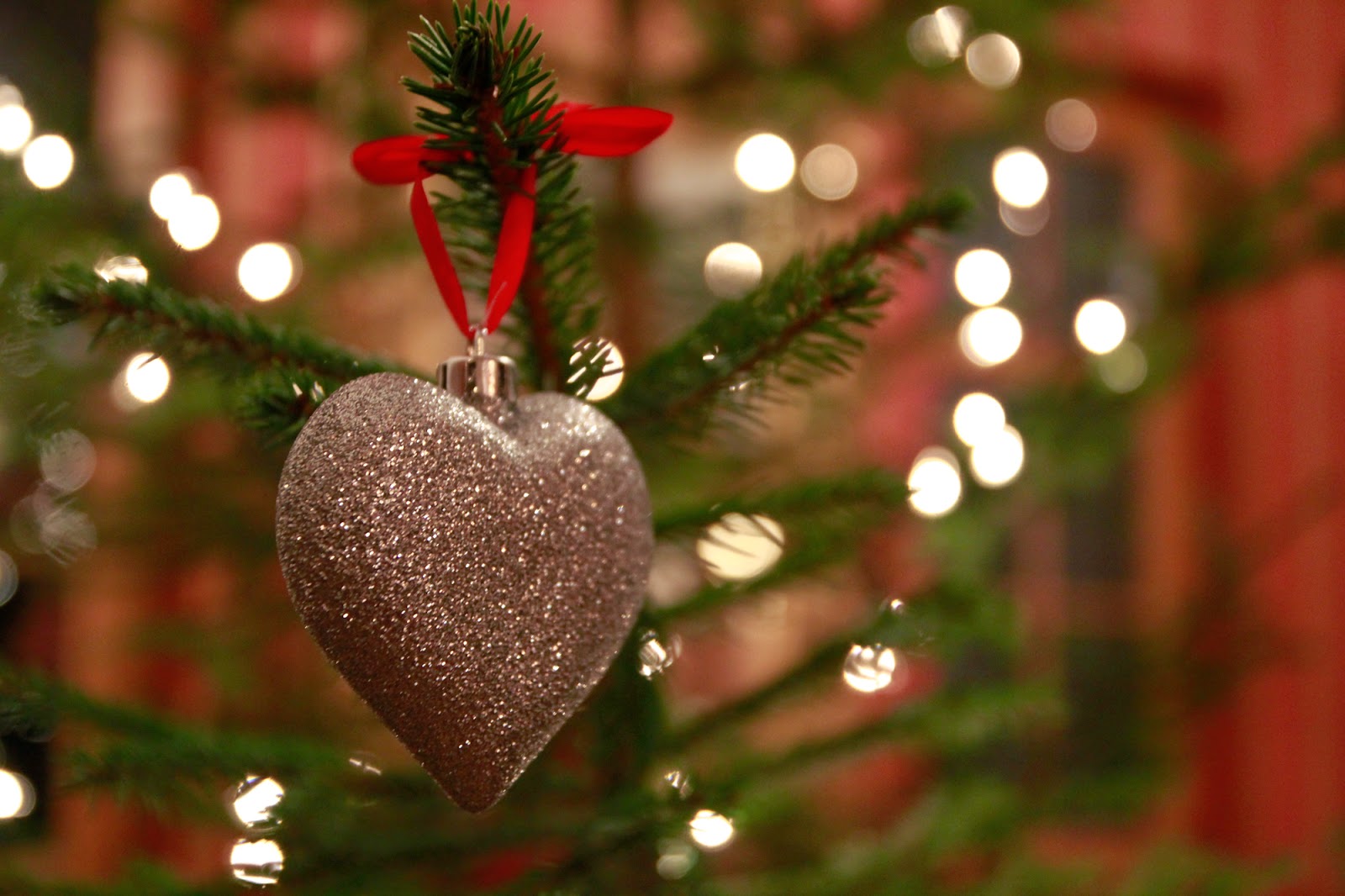 Gwiazdka w Puszczy - Ania w Podróży