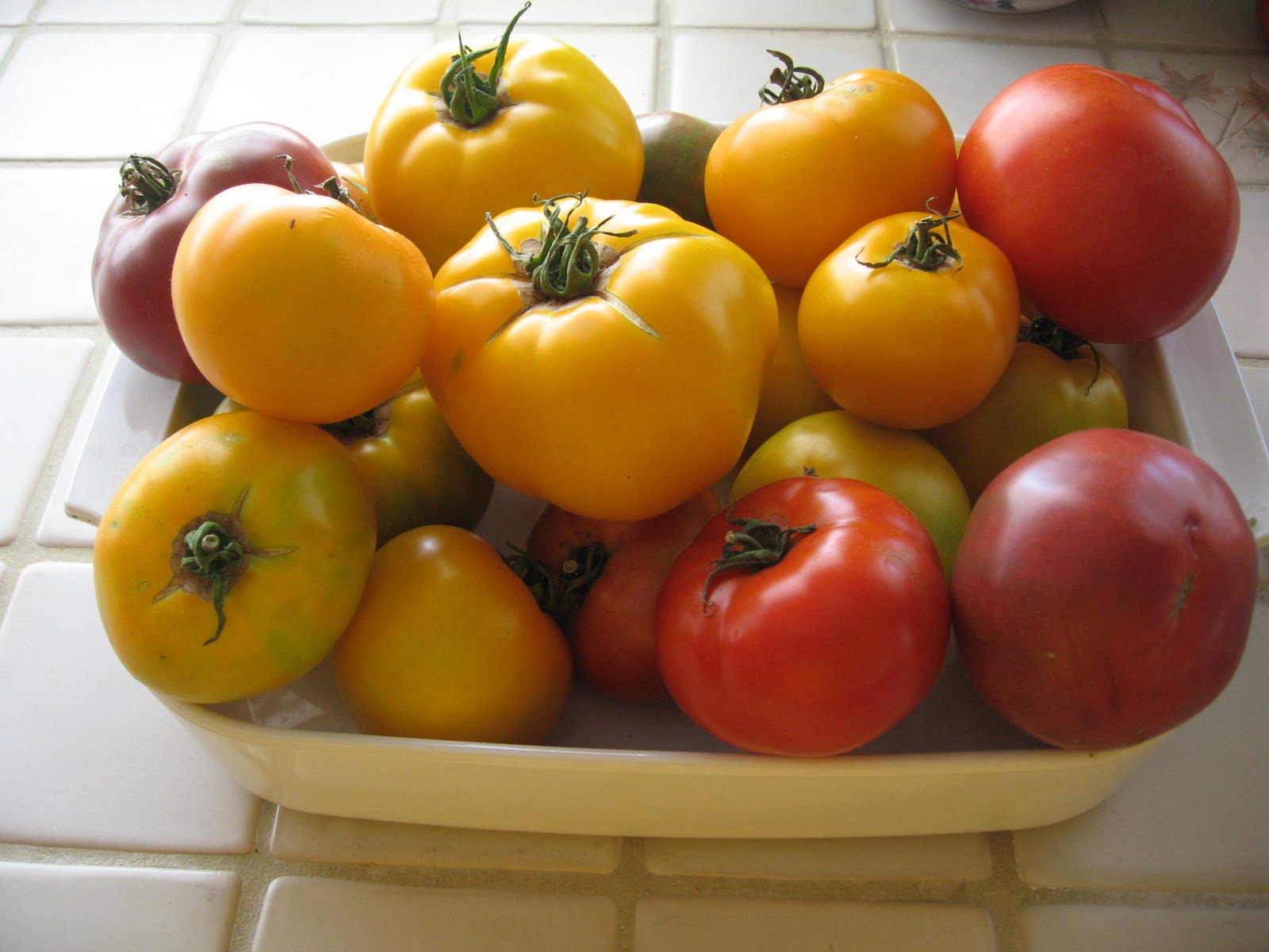 My California Garden in Zone 23 Monster Tomato and Pepper Sale at The