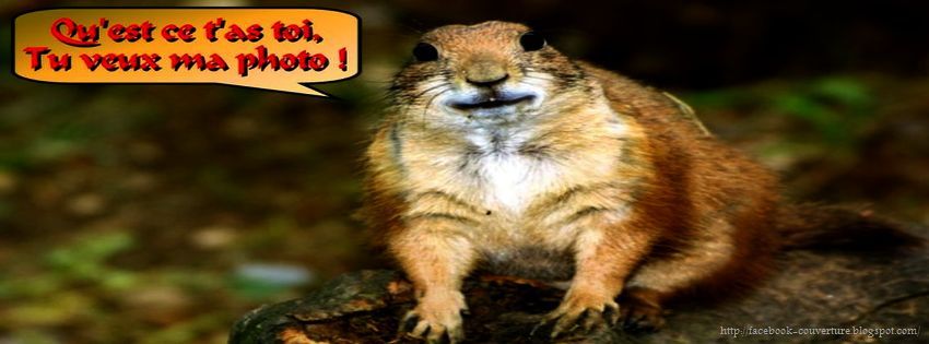 profil humour site rencontre