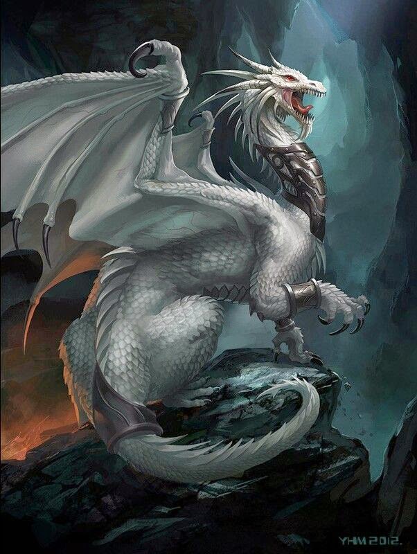 2 white dragon battle bilder land