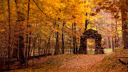 Lugar mágico lleno del color del otoño. Un lugar fantástico, que parece . lugar mã¡gico lleno del color del otoã±o